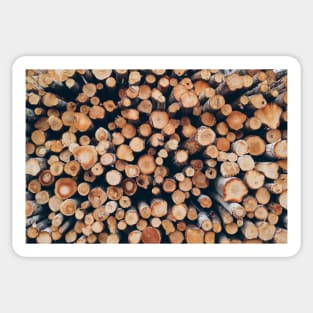 Wooden Pattern, Wood Artwork, Wood pattern Sticker